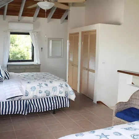 Serene Cruz Bay Villa Sep Mstr Kg Suite Stunning Sunsets-3